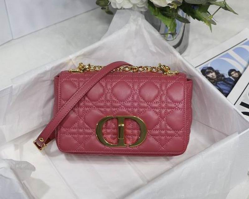 DIOR Handbags 58